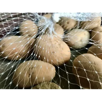 Potato (45)-3655136-66238.webp